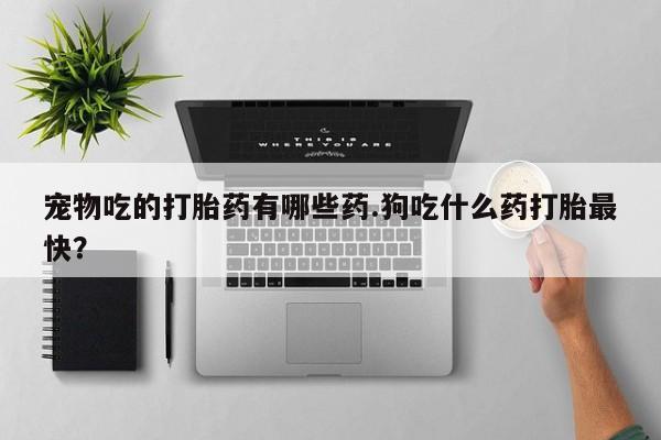 打胎药私人专卖微信网上药店宠物吃的打胎药有哪些药.狗吃什么药打胎最快？