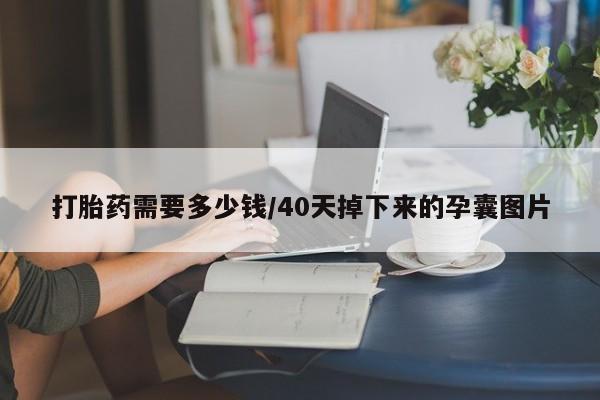 打胎药私人专卖微信网上药店打胎药需要多少钱/40天掉下来的孕囊图片